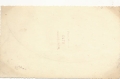 7275174567_1