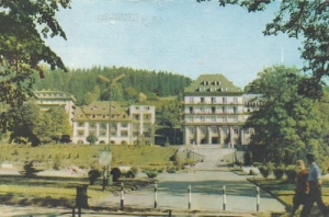 Krynica 01280