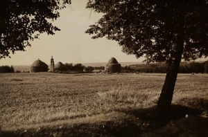 Kurozwęki figura w polu - Reprodukcja 3867