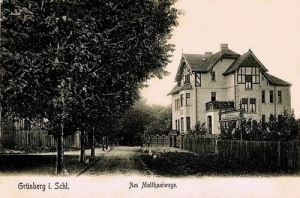 Zielona Góra Grunberg - Reprodukcja 1197