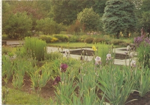 Gdańsk Oliwa -  02672