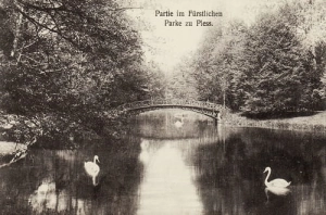 Pszczyna park - Reprodukcja 15532
