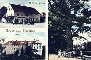 Pyszczyn widokowa - Reprodukcja 31195