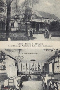 Rogoźnica widokowa - Reprodukcja 31199