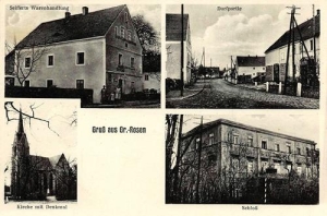 Rogoźnica widokowa - Reprodukcja 31202