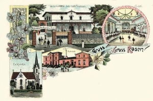 Rogoźnica widokowa - Reprodukcja 31204