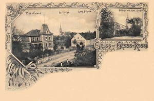 Rogoźnica widokowa - Reprodukcja 31208