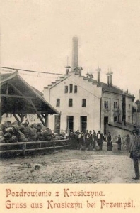 Krasiczyn - Reprodukcja 31232