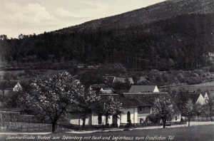 Sady panorama - Reprodukcja 31280