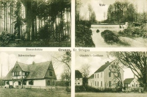 Skarżyce widokowa - Reprodukcja 31290
