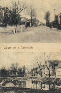 Słotwina widokowa - Reprodukcja 31297