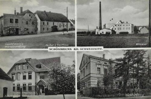 Słotwina widokowa - Reprodukcja 31299