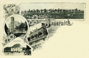Stary Jaworów - Reprodukcja 31321