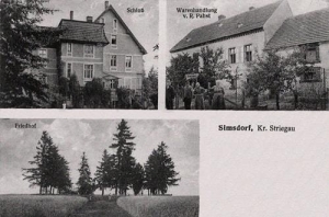 Szymanów widokowa - Reprodukcja 31342