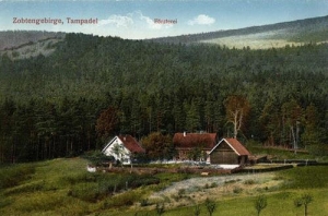 Tąpadła leśniczówka - Reprodukcja 31353