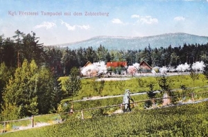 Tąpadła leśniczówka - Reprodukcja 31355