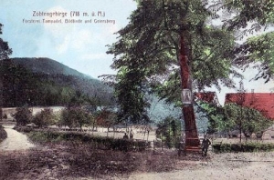 Tąpadła leśniczówka - Reprodukcja 31356