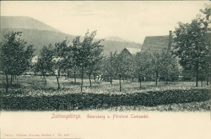 Tąpadła leśniczówka - Reprodukcja 31357