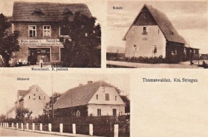 Tomkowice widokowa - Reprodukcja 31366