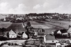 Wierzbna panorama - Reprodukcja 31381