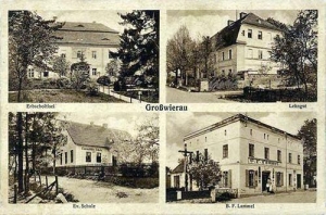 Wiry widokowa - Reprodukcja 31393