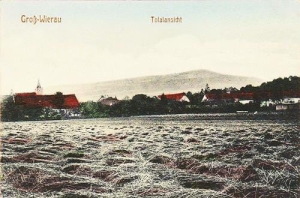 Wiry panorama - Reprodukcja 31398