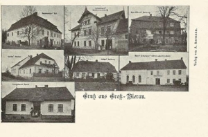 Wiry widokowa - Reprodukcja 31400