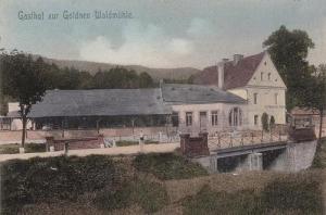 Złoty Las - Reprodukcja 31434