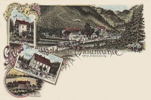 Złoty Las - Reprodukcja 31435