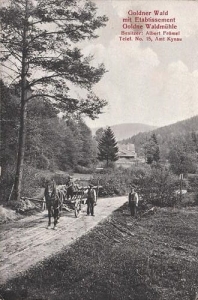 Złoty Las - Reprodukcja 31436