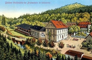 Złoty Las - Reprodukcja 31439