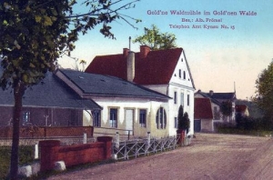 Złoty Las - Reprodukcja 31448