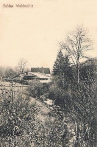 Złoty Las - Reprodukcja 31449