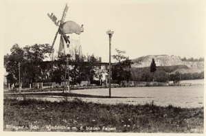 Żólkiewka wiatrak - Reprodukcja 31458