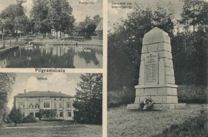 Żólkiewka widokowa - Reprodukcja 31459