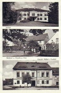 Żólkiewka widokowa - Reprodukcja 31460