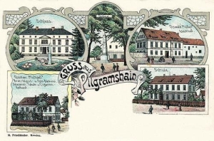 Żólkiewka widokowa - Reprodukcja 31461