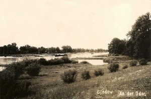 Będów - Reprodukcja 31778