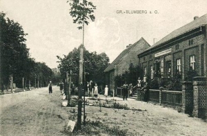 Brody - Reprodukcja 31792