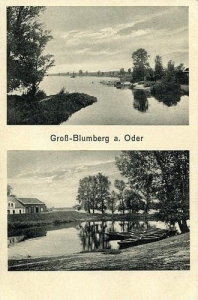 Brody widokowa - Reprodukcja 31799