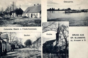 Brody widokowa - Reprodukcja 31800