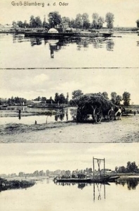 Brody widokowa - Reprodukcja 31805