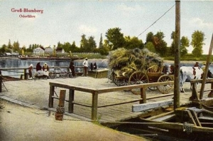 Brody - Reprodukcja 31806