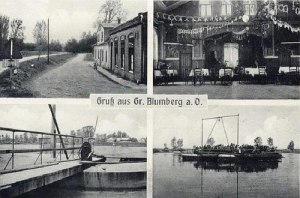 Brody - Reprodukcja 31807