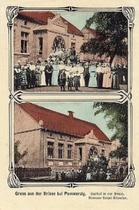 Brzezie k. Pomorska - Reprodukcja 31809