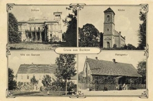 Buków widokowa - Reprodukcja 31815