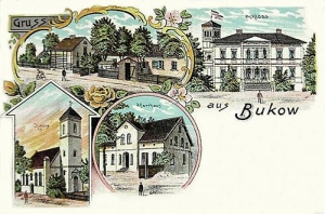 Buków widokowa - Reprodukcja 31820