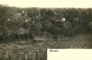 Chwalim panorama - Reprodukcja 31824