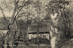 Cigacice - Reprodukcja 31836