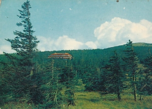 Schronisko Odrodzenie - 09860